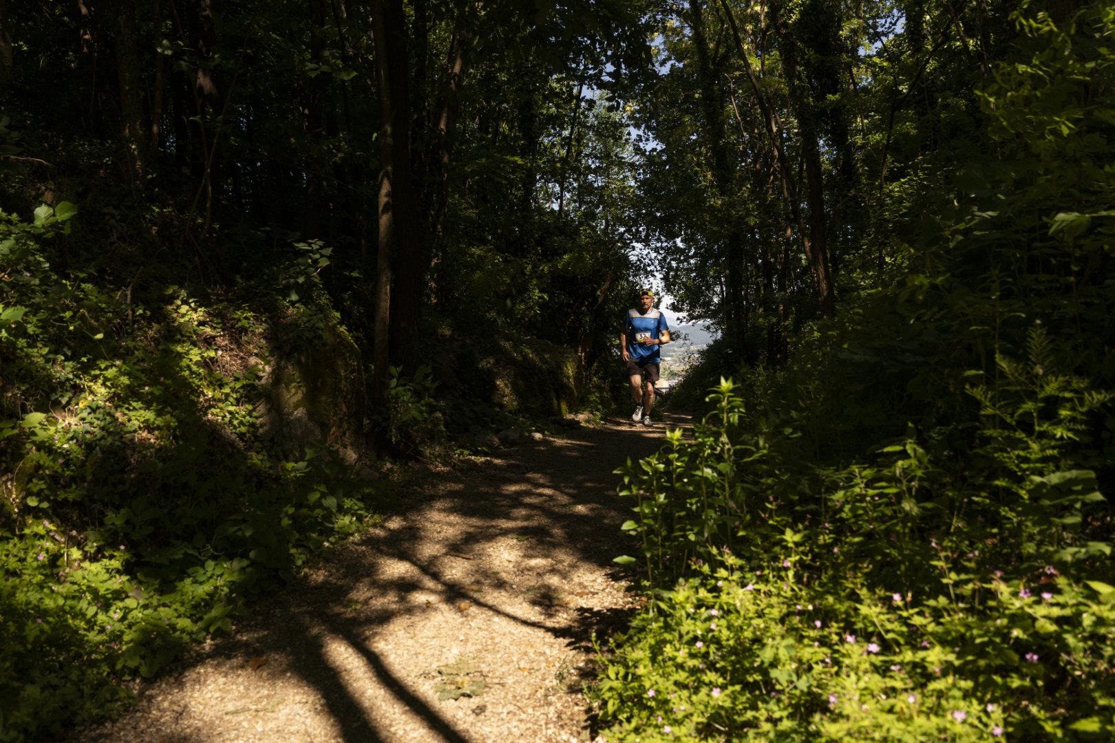 _dsc8568.jpg